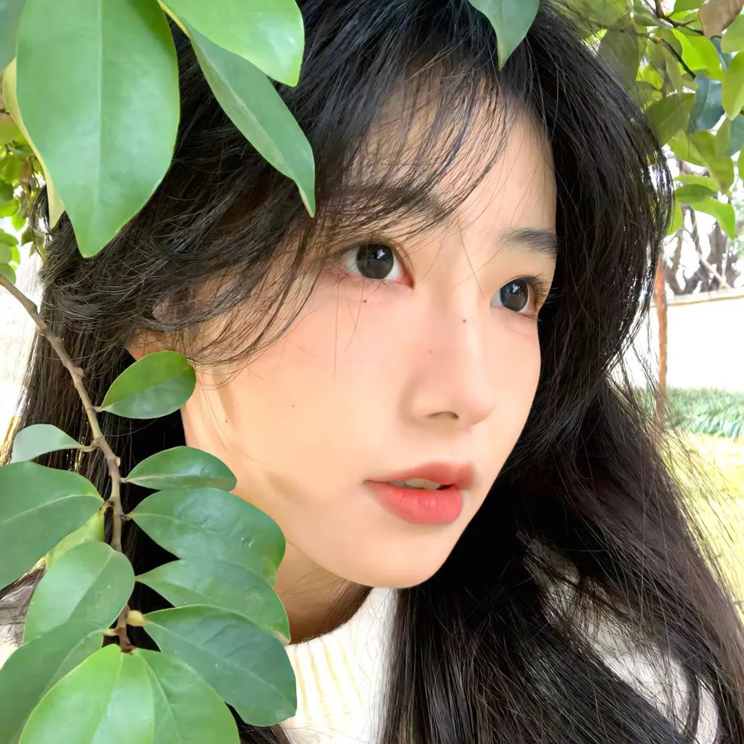 无法抗拒的谎言