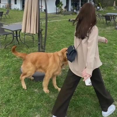 懵懵哒爱情2